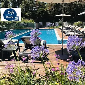 Oasis Life **** Split